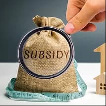Central Government Subsidy Consultancy